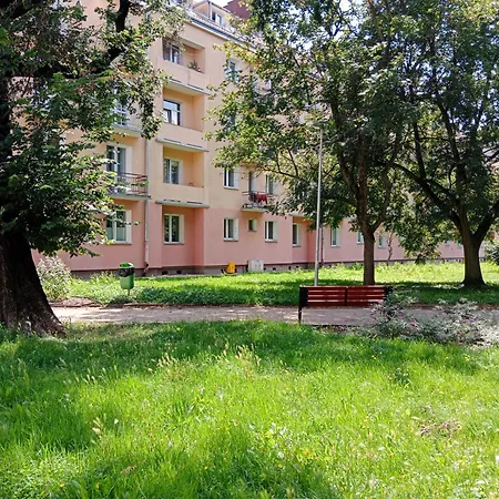 - Apartment *